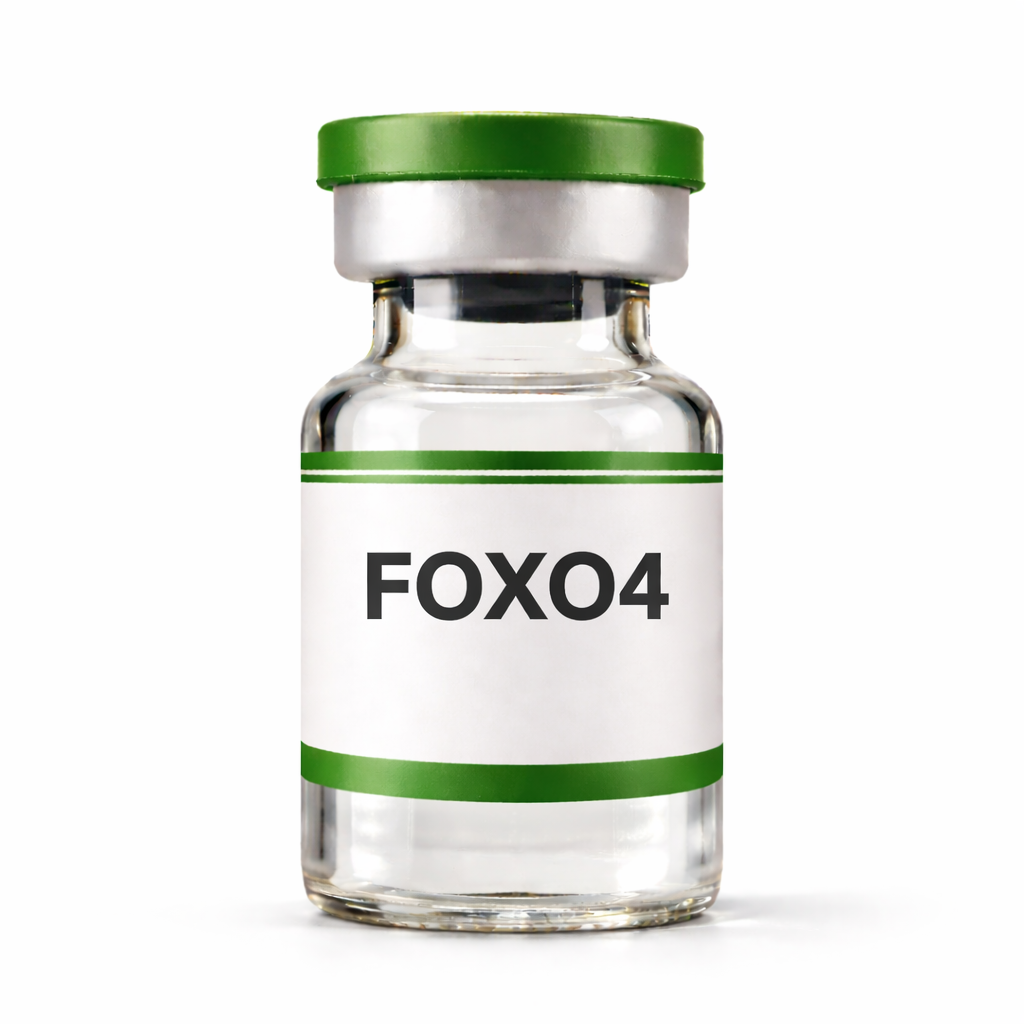 FOXO4